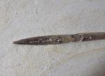 Hibolithes semisulcatus (M�NSTER 1830) - Bild &copy; FossNet FossilienStore